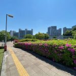 すずかけ門から望むキャンパス