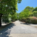 大学会館へ向かうメイン通り